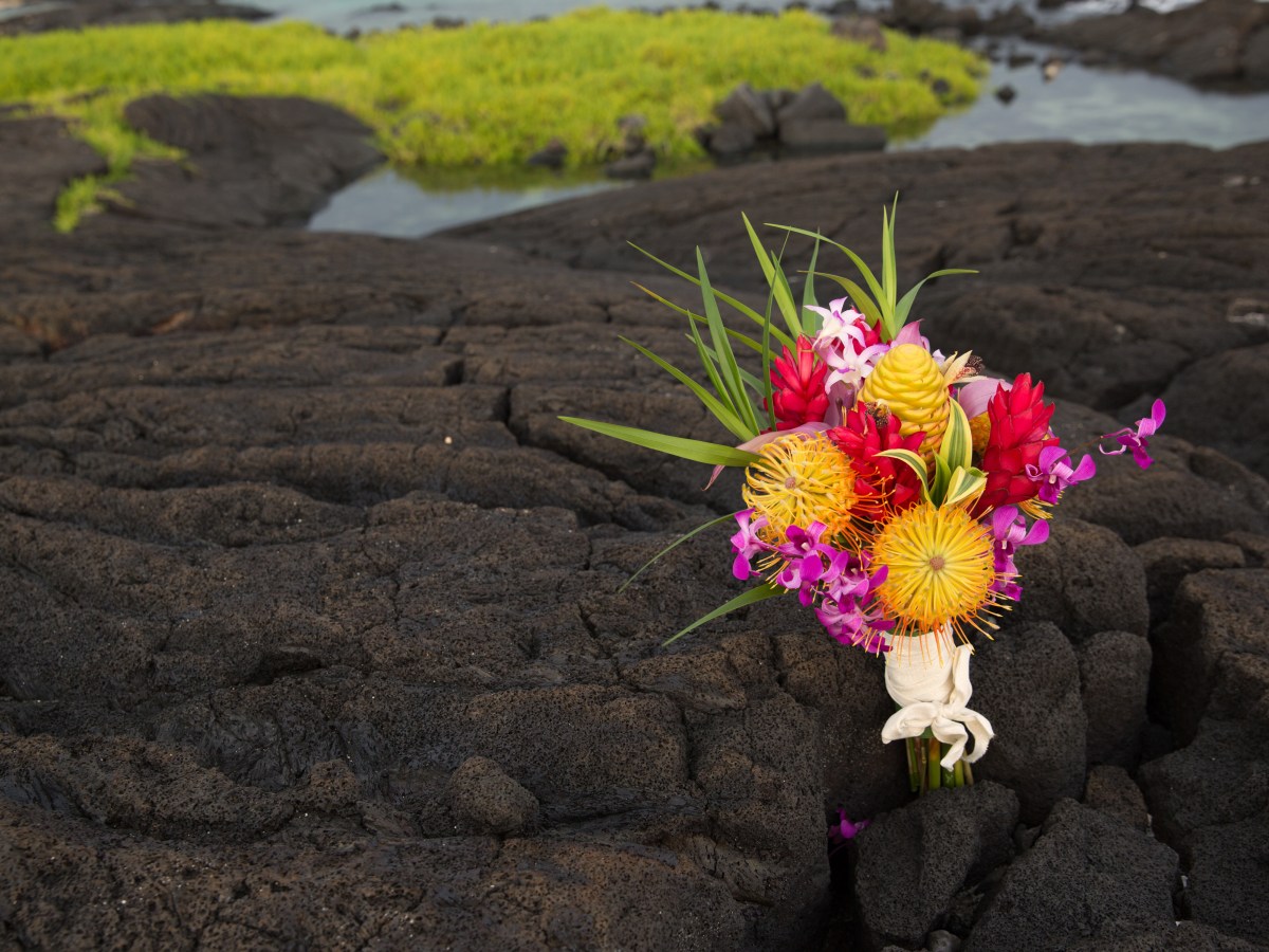 1 Compassionate Journey Begins