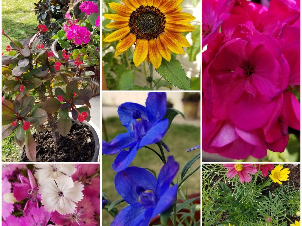 Mindfulness Poetic  Thoughts-